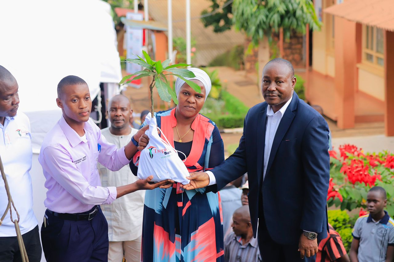 This image for Image Layouts addon